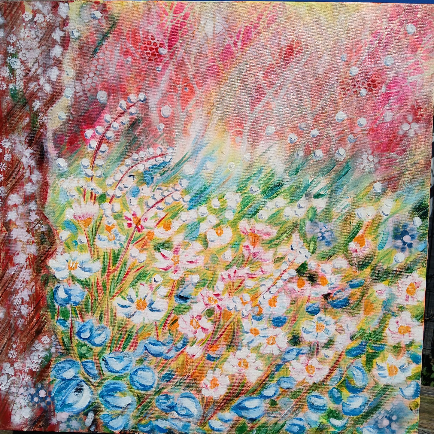 Dans la lumière du matin