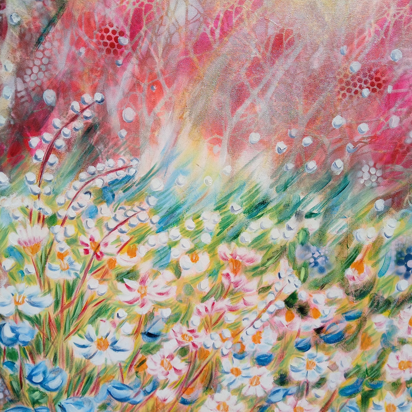 Dans la lumière du matin