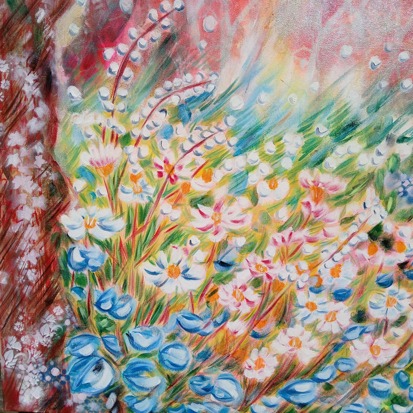 Dans la lumière du matin