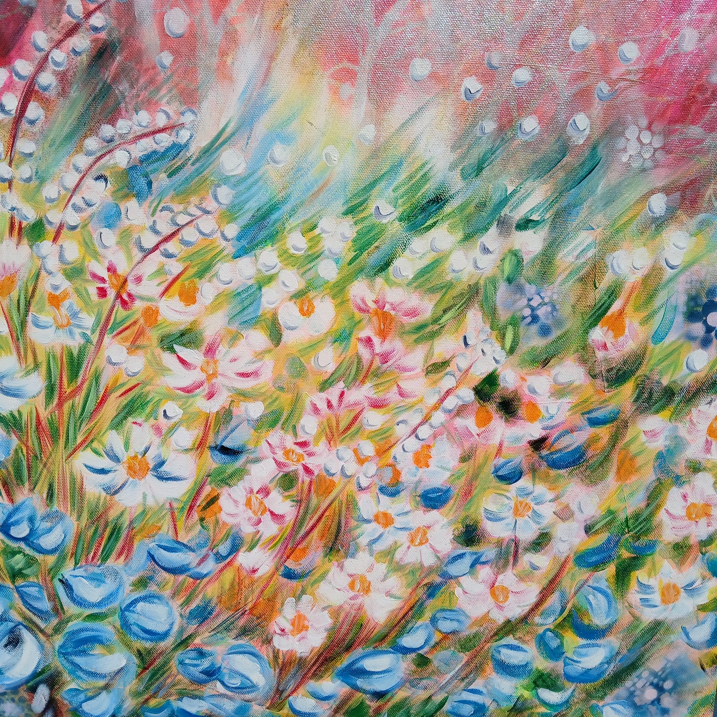 Dans la lumière du matin