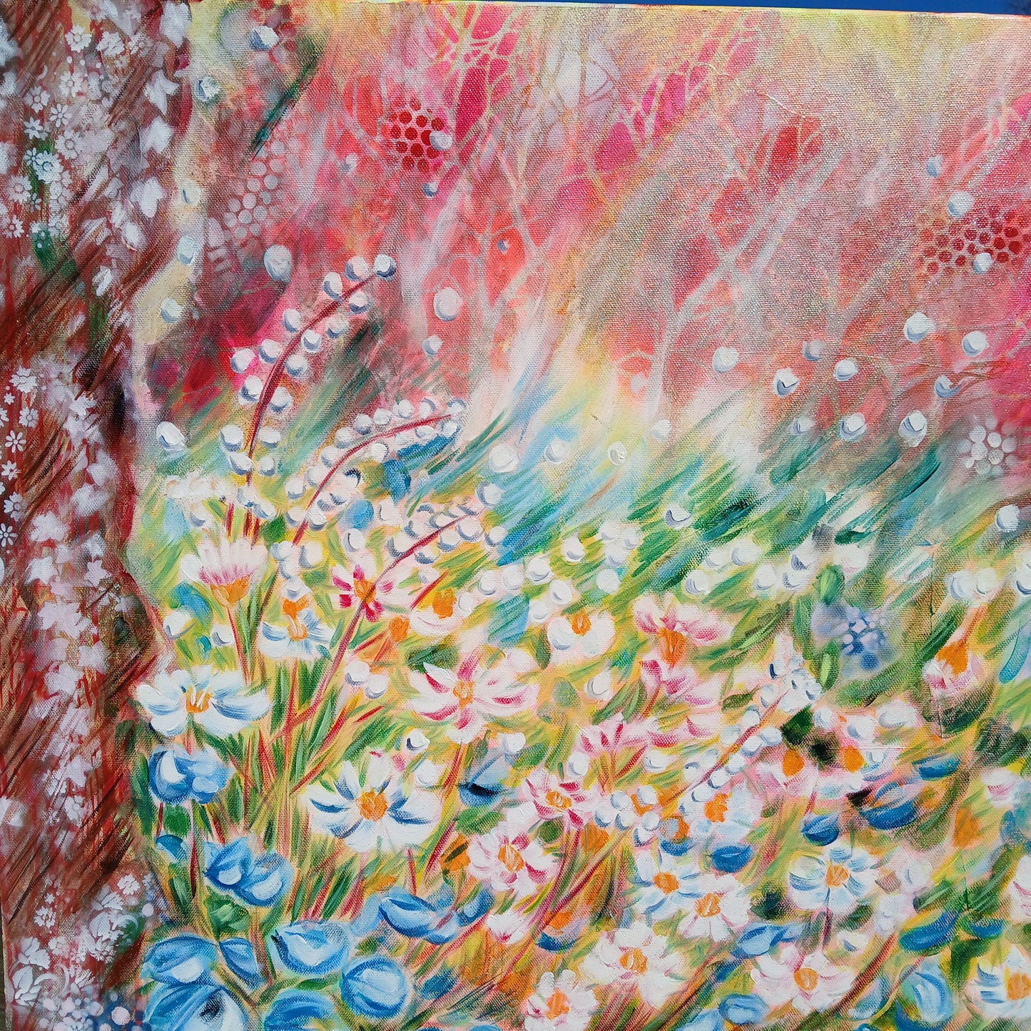 Dans la lumière du matin