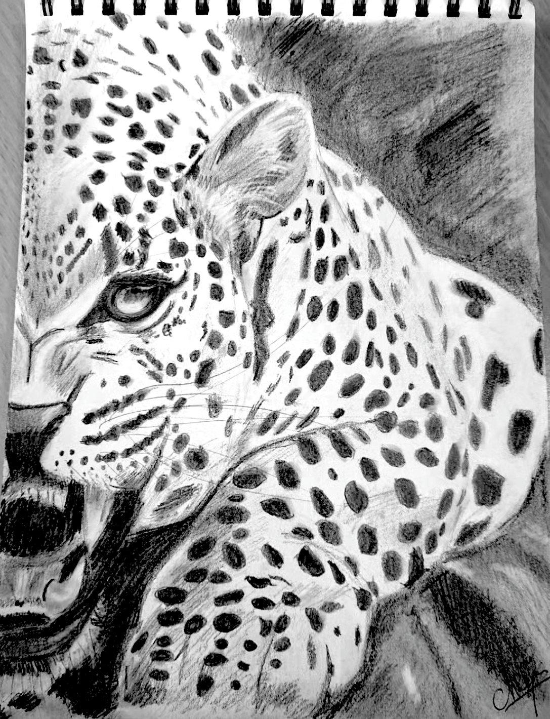 Cours de dessin by Chrys Oak