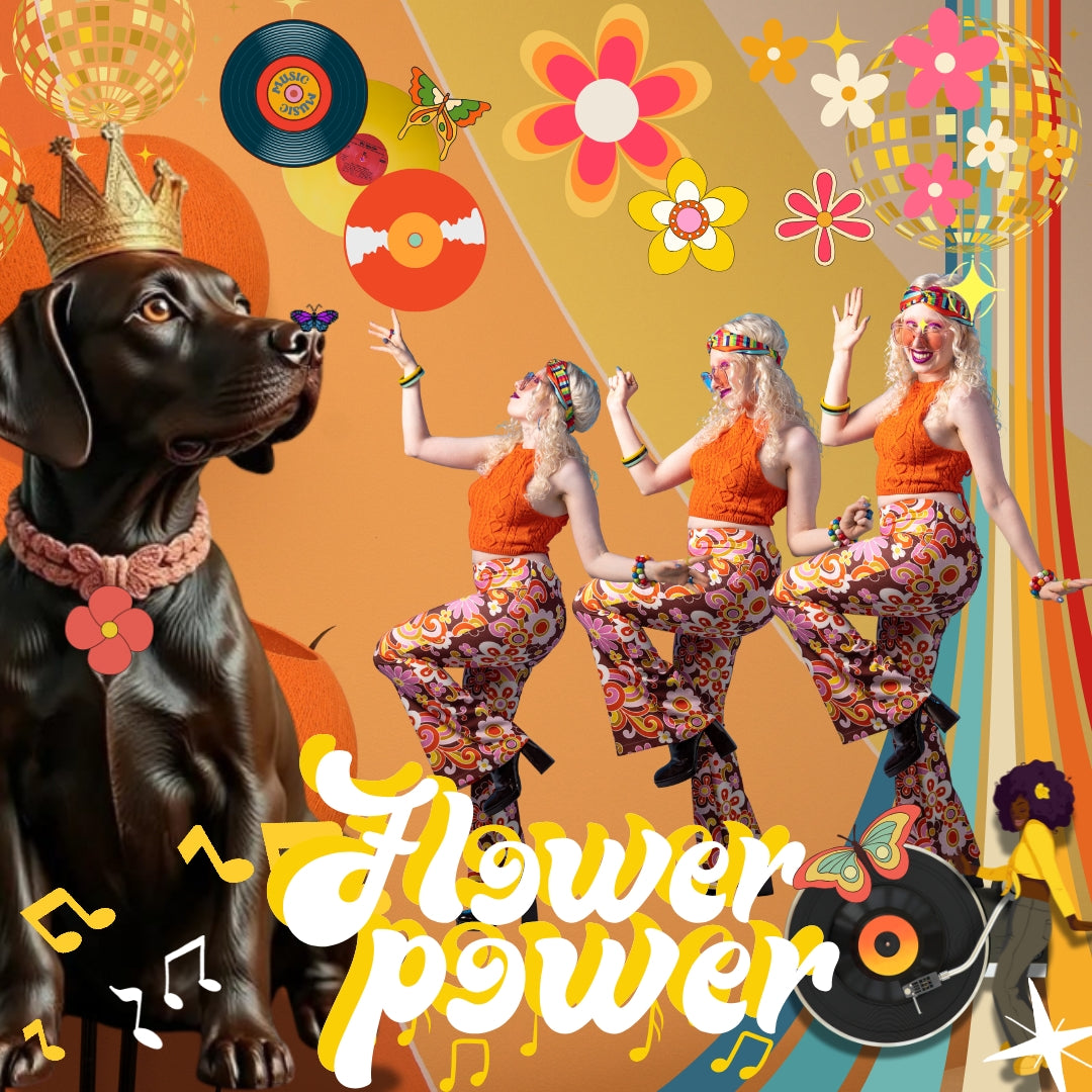 Royal Psychedelic – Flower Power Labrador - Gentleman Dog