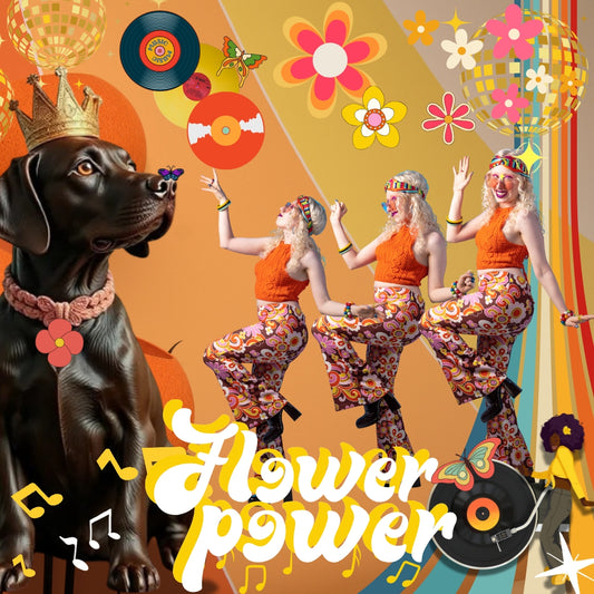 Royal Psychedelic – Flower Power Labrador - Gentleman Dog