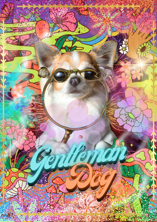 The Psychedelic Chihuahua – Gentleman Dog