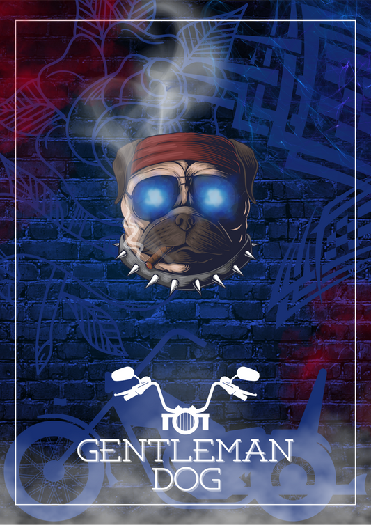 The Biker – Le Carlin – Gentleman Dog