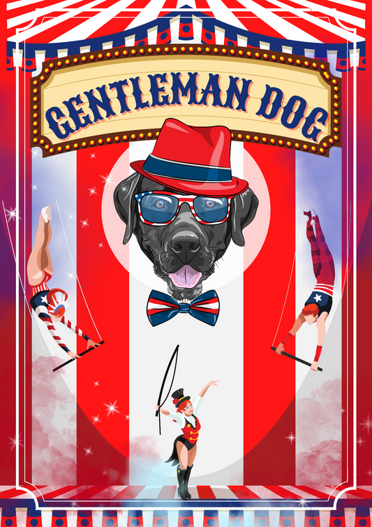 The Showman – The Labrador - Gentleman Dog